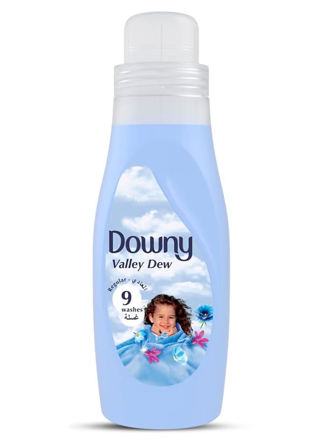 Downy Regular Fabric Softener Valley Dew 1L Regular